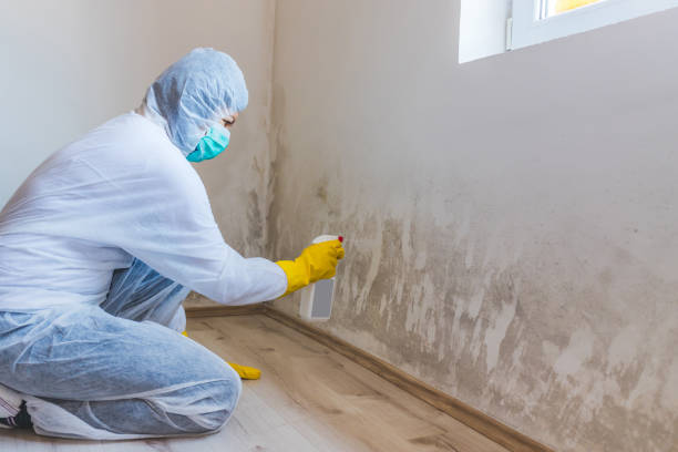 Hvac And Air Duct Mold Remediation inspection of HVAC system in Colleyville